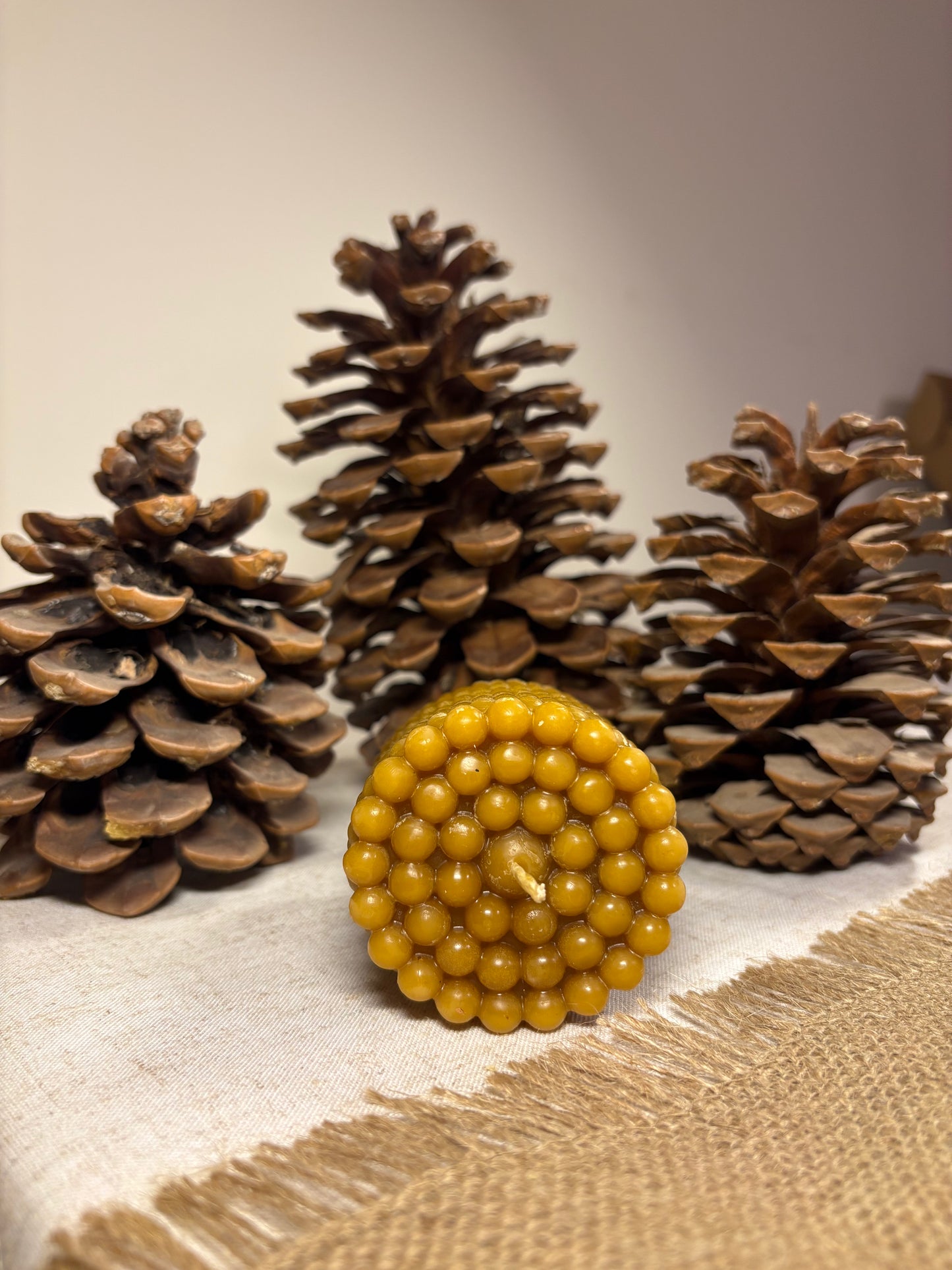 Vela Panal de Cera de Abeja