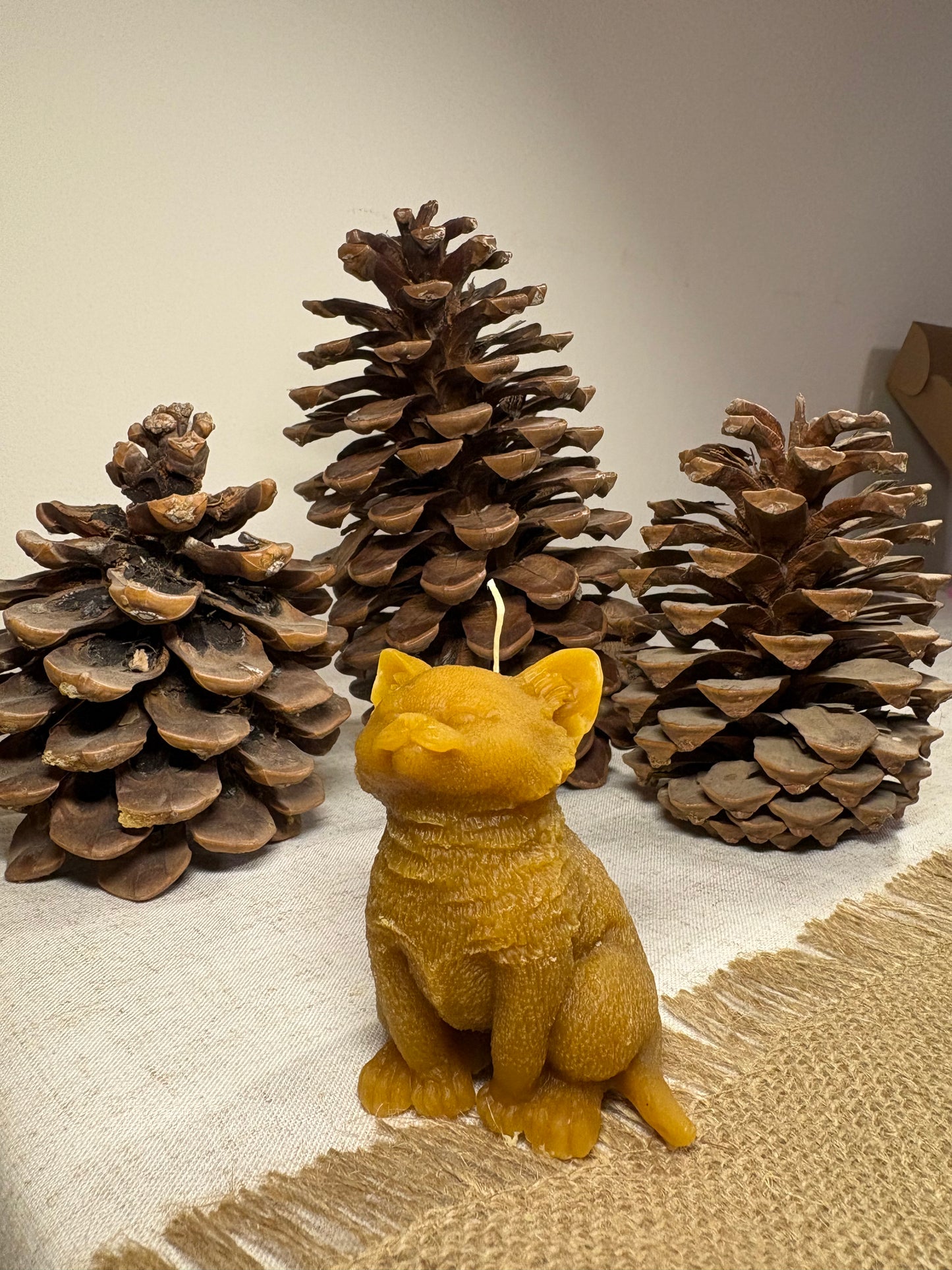 Vela Decorativa Gatito