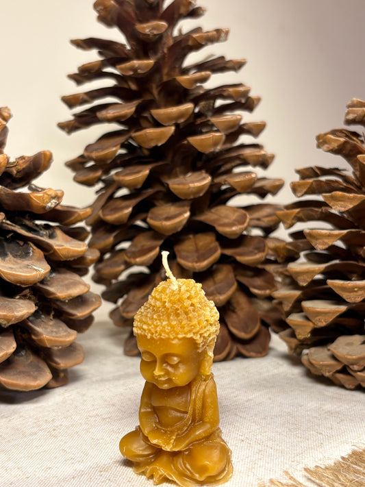 Vela Buda